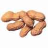 peanut.jpeg