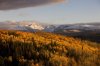 Fall Dusting BC2.jpg