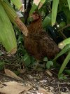 IMG_4808.jpeg