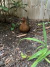 IMG_4844.jpeg