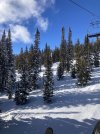 IMG_4447.jpeg