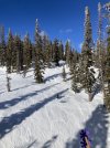 IMG_4446.jpeg