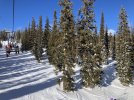 IMG_4439.jpeg