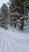 IMG_0458.jpeg