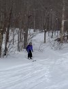 IMG_6586.jpeg