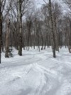 IMG_0174.jpeg