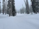Wolf Creek 09Dec2024 - 4.jpeg