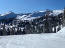 Wolf Creek 10Dec2024 - 2.jpeg