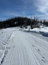 Wolf Creek 11Dec2024 - 3.jpeg