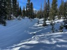 Wolf Creek 12Dec2024 - 1.jpeg