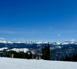View from Peak 9.JPEG