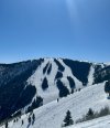 IMG_7813.jpeg