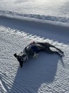 IMG_4494.jpeg
