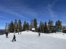 IMG_7983.jpeg