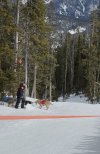 IMG_2685.jpeg