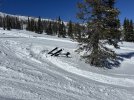 IMG_3842.jpeg