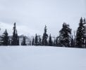 PXL_20260306_165155883.jpg
