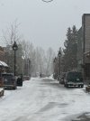 IMG_2045.jpeg