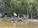 IMG_4292.jpeg