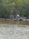 IMG_4283.jpeg