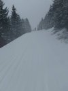 april 7 sugarbush.jpg