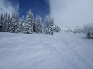 TR Grand Targhee Feb2019 - 5.jpg TR Grand Targhee Feb2019 - 5.jpg