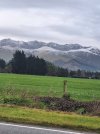 NZ.jpg