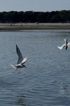 75f0b454-30c6-4ac0-b0a4-ee89ecd0d0da.jpg