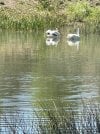 IMG_8914.JPG