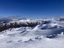 IMG_4574.jpeg