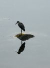 IMG_5025.jpeg