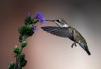 DSC_3405.jpg