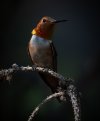 DSC_3038.jpg