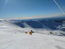 IMG_20260920_090936428.jpg
