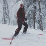 slyfox4