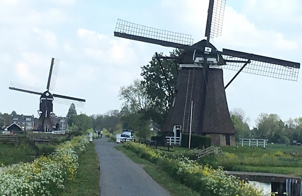 A cure for the end of ski season blues: biking through the tulips in the Netherlands.