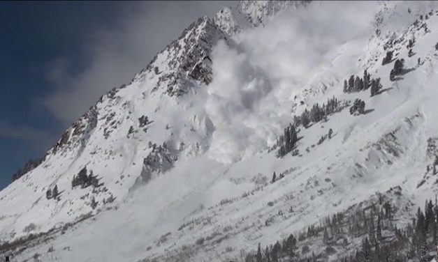 A chat with Nikki Champion, Utah Avalanche Forecaster