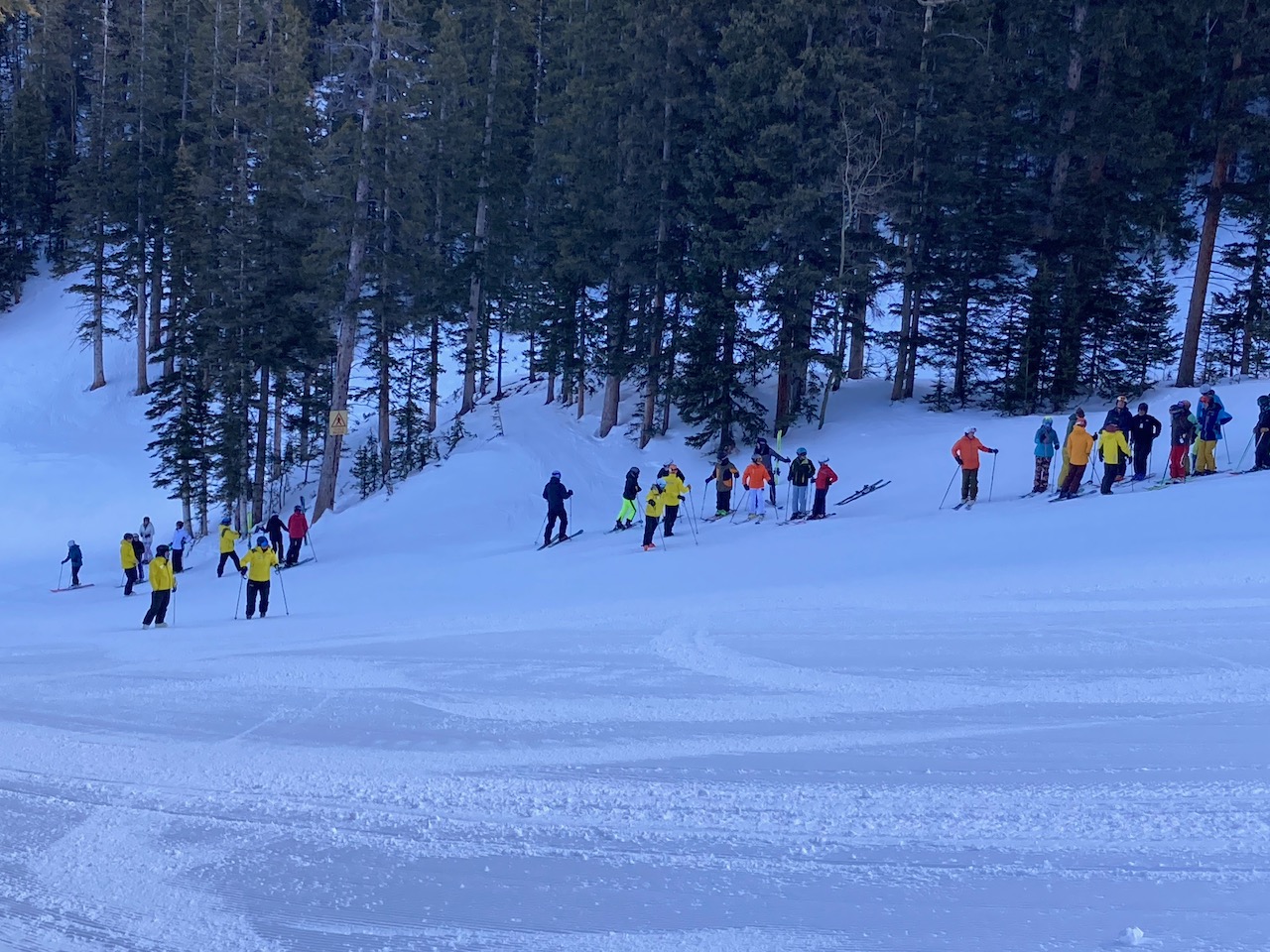Instructors and students stand on the side of the trail during the ski-off at Taos Ski Week.